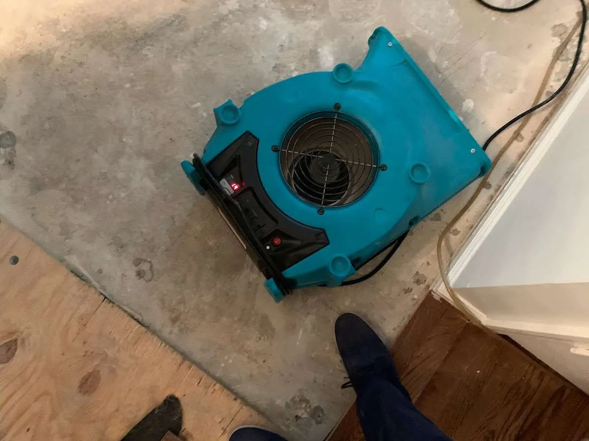 Air mover drying subfloor during Leak Detection & Repair in Bainbridge